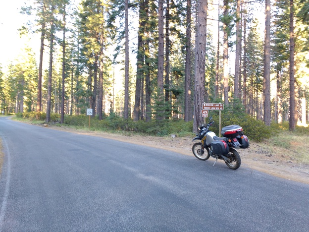 Motorcycle parked by forest service sign and tall trees