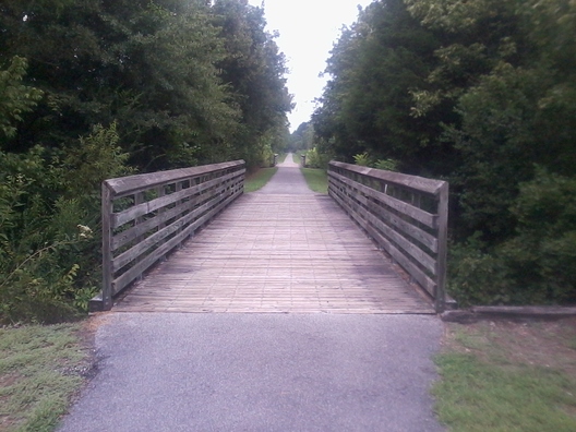 bumpy bridges