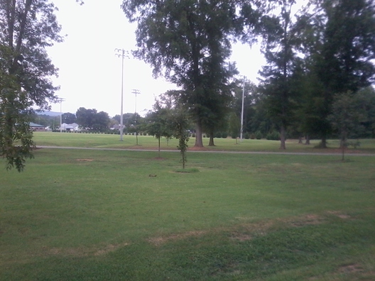 disc golf