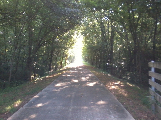 green tunnel
