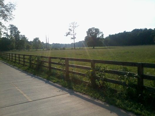 pasture